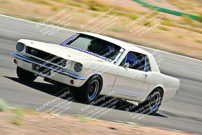 media/May-10-2025-Cobra Club (Sat) [[7b9c5022b1]]/Passenger/